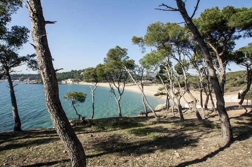 Mas Valenti 1511 Konuk evi Vall-Llobrega Oda fotoğraf